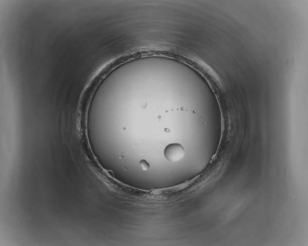 X0000112730878200908271426