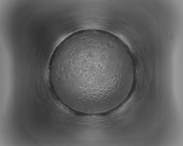 X0000112730879200908271426