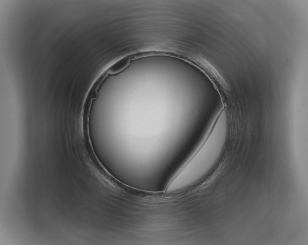 X0000112730884200908271426