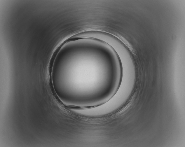 X0000112730885200908271426