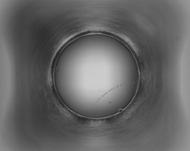 X0000112730887200908271426