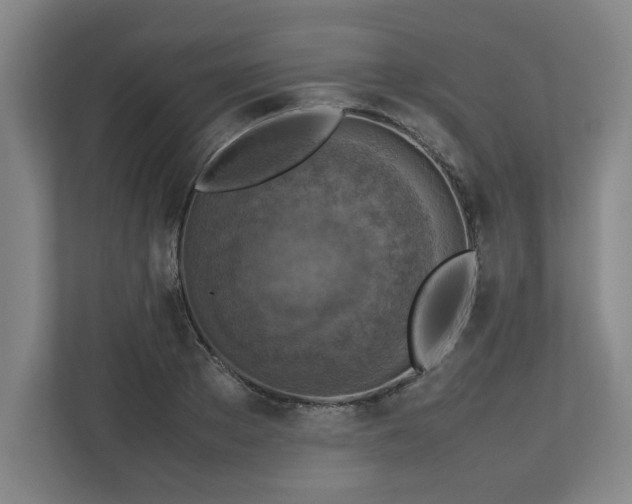 X0000112730889200908271426