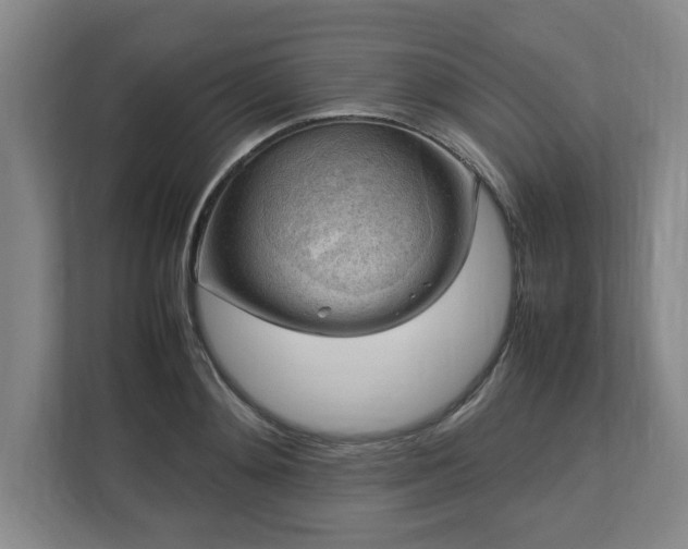 X0000112730892200908271426