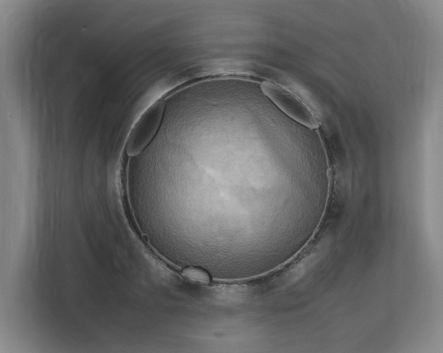 X0000112730893200908271426