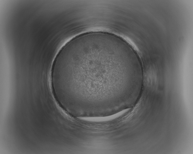 X0000112730895200908271426