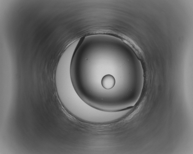 X0000112730897200908271426