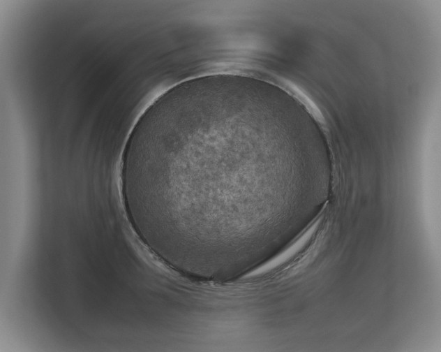 X0000112730899200908271426