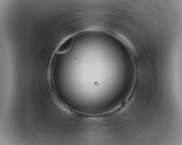 X0000112730900200908271426