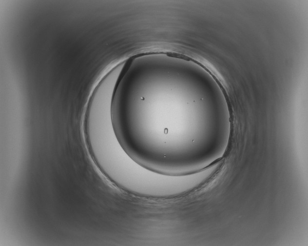 X0000112730901200908271426