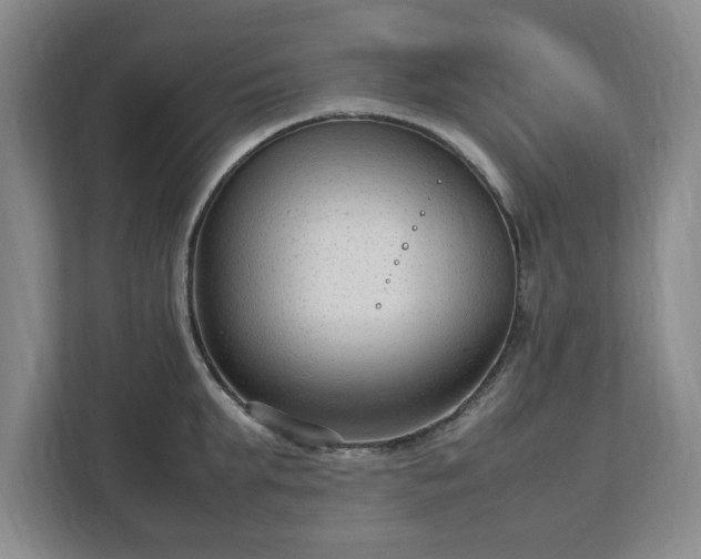 X0000112730903200908271426