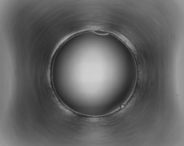 X0000112730904200908271426