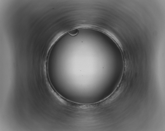 X0000112730906200908271426