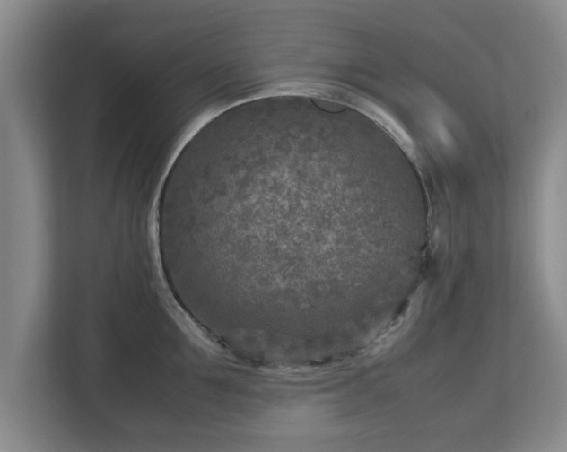 X0000112730907200908271426