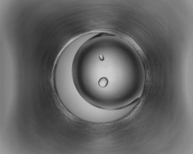 X0000112730908200908271426