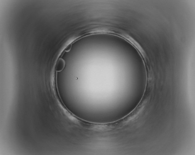 X0000112730909200908271426