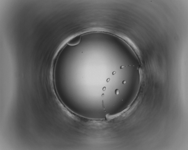 X0000112730910200908271426