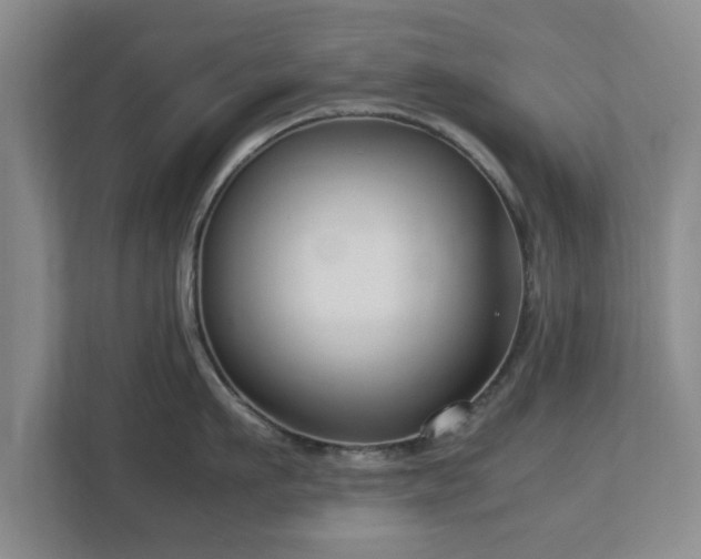 X0000112730911200908271426