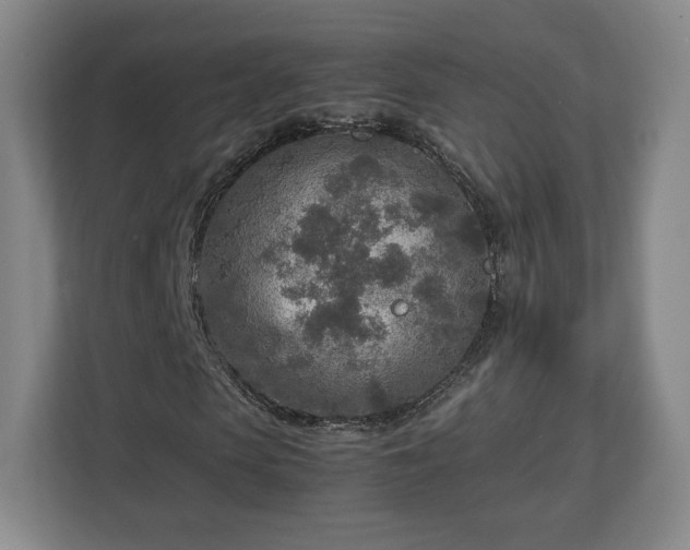 X0000112730913200908271425