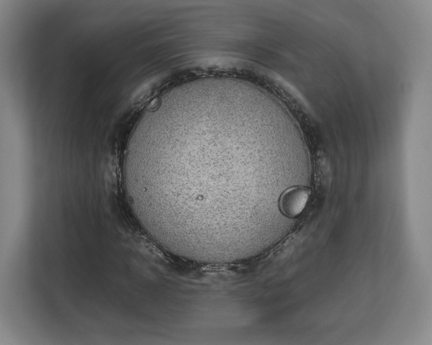 X0000112730918200908271425