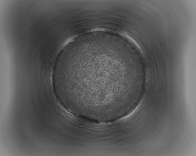 X0000112730921200908271425