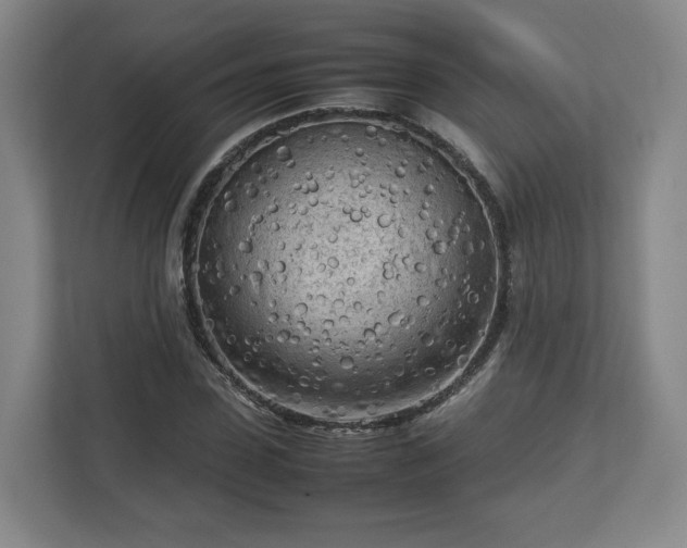 X0000112730923200908271425