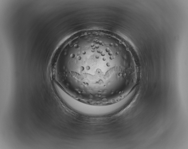 X0000112730925200908271425