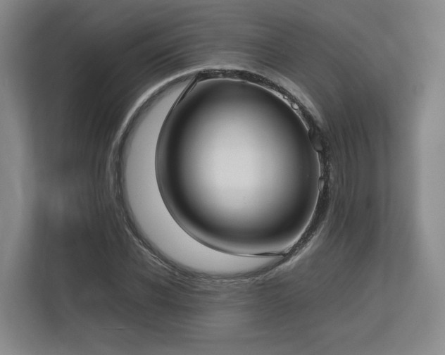 X0000112730926200908271425