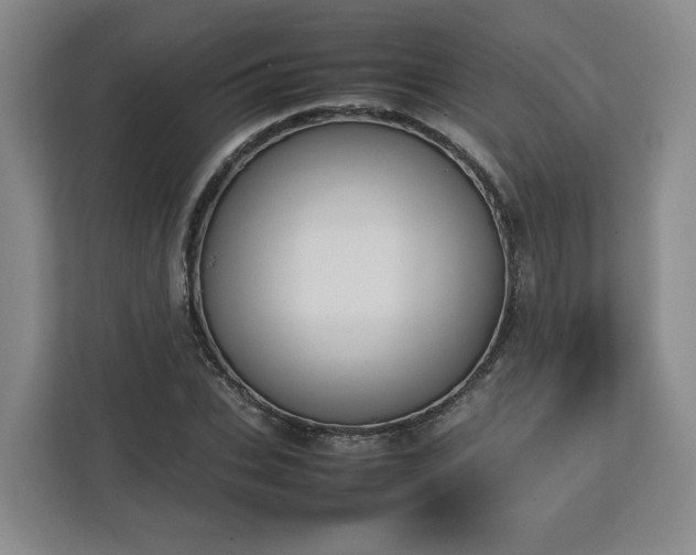 X0000112730927200908271425