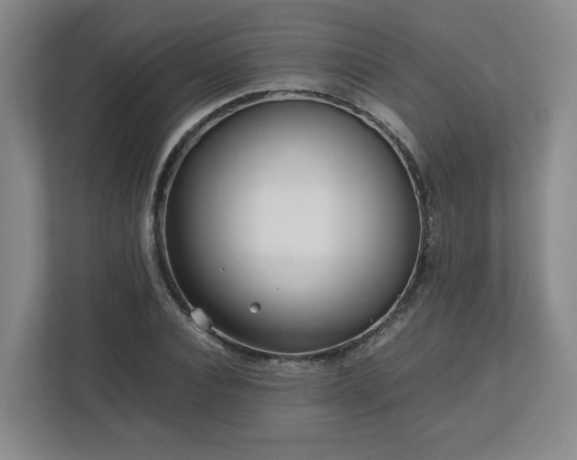 X0000112730928200908271425