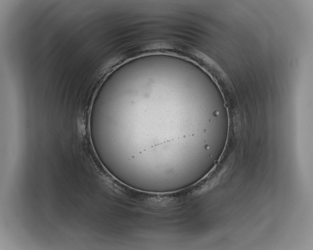 X0000112730929200908271425