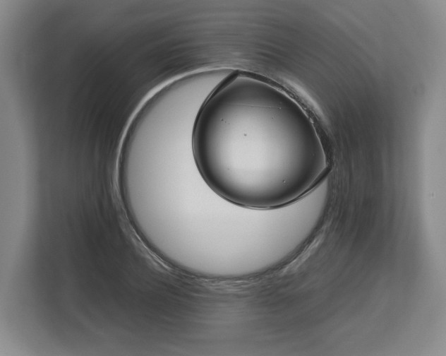 X0000112730932200908271425