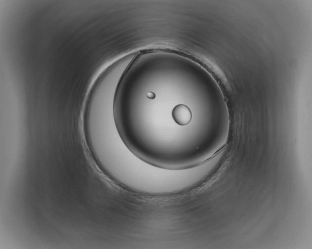 X0000112730936200908271425