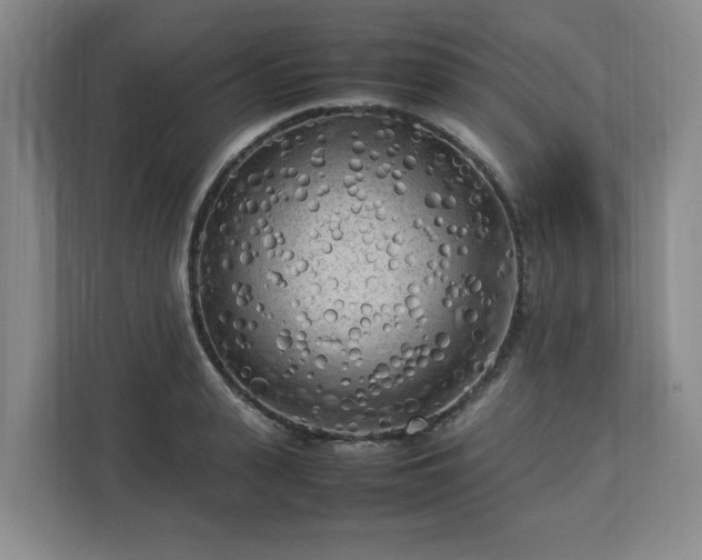 X0000112730943200908271425