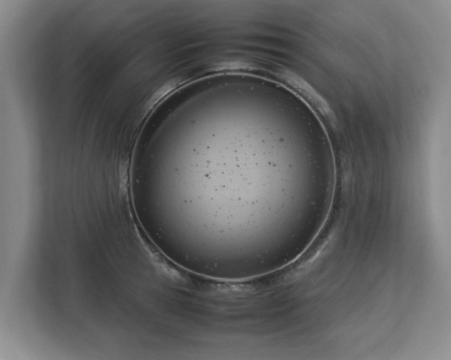 X0000112730945200908271425