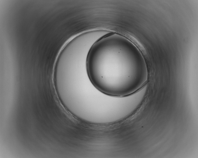 X0000112730948200908271425