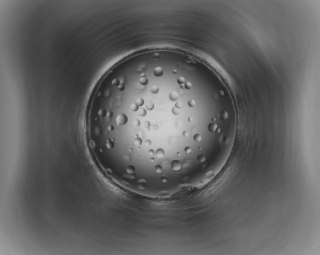 X0000112730951200908271425