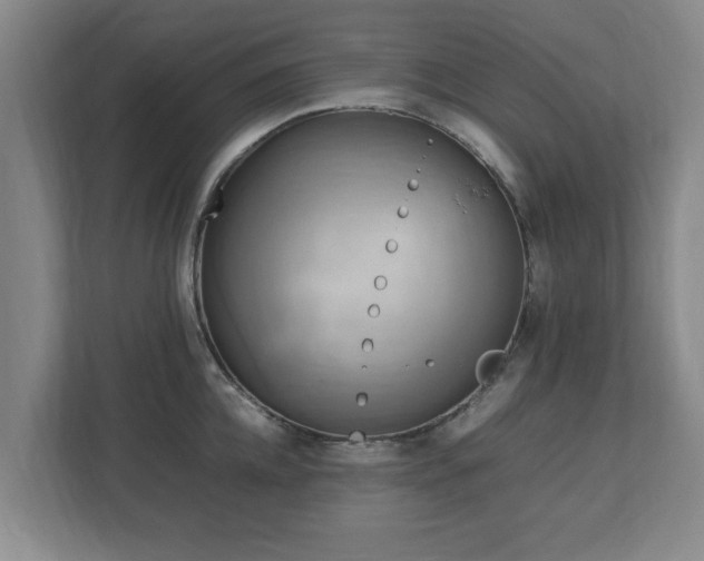 X0000112730952200908271425