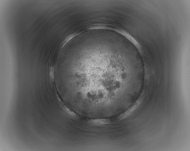 X0000112730953200908271425