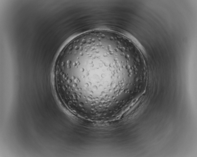 X0000112730955200908271425