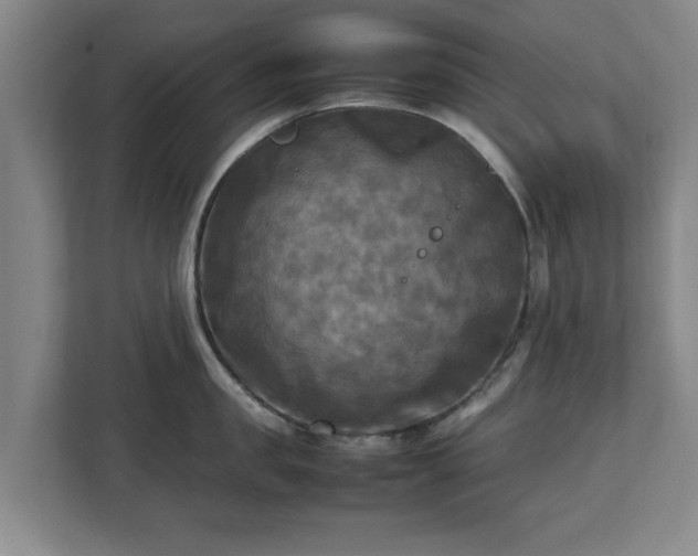 X0000112730957200908271426