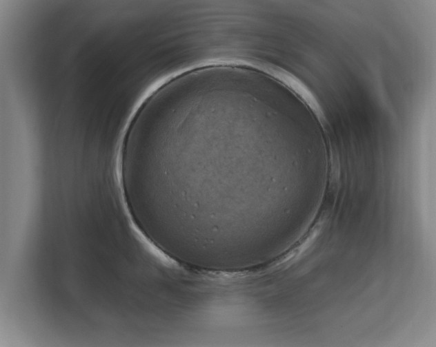 X0000112730958200908271426