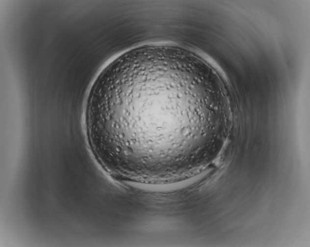 X0000112730959200908271426