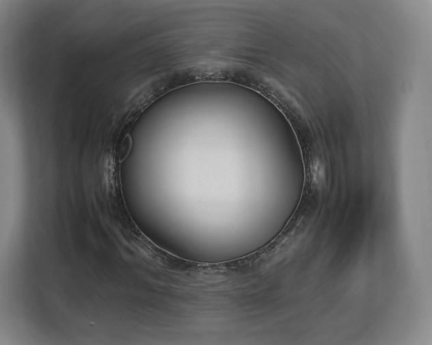 X0000112730964200908271425