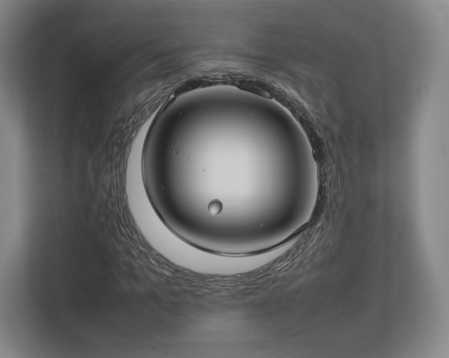 X0000112730965200908271425