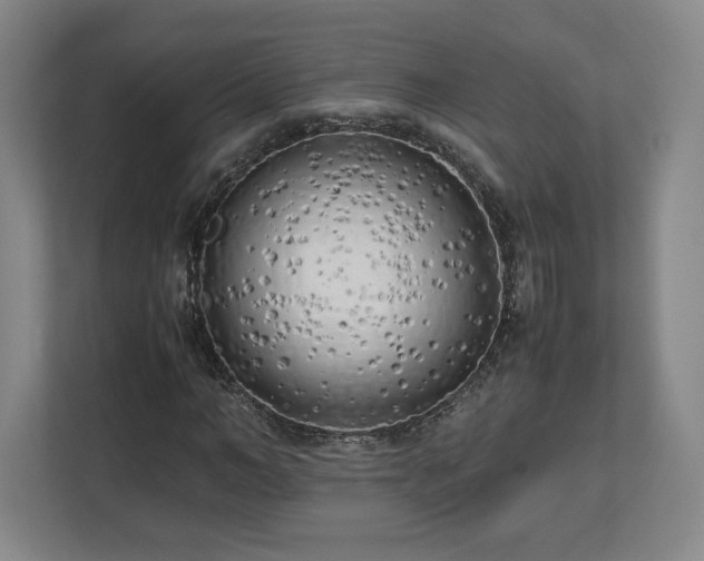 X0000112730966200908271425