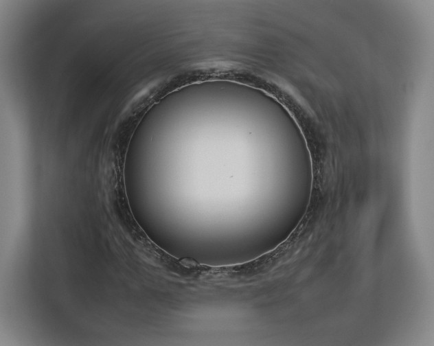 X0000112730967200908271425