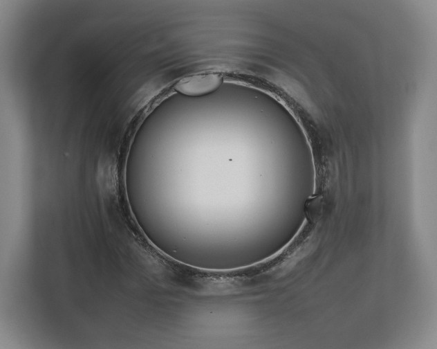 X0000112730969200908271425