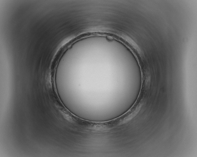 X0000112730974200908271425