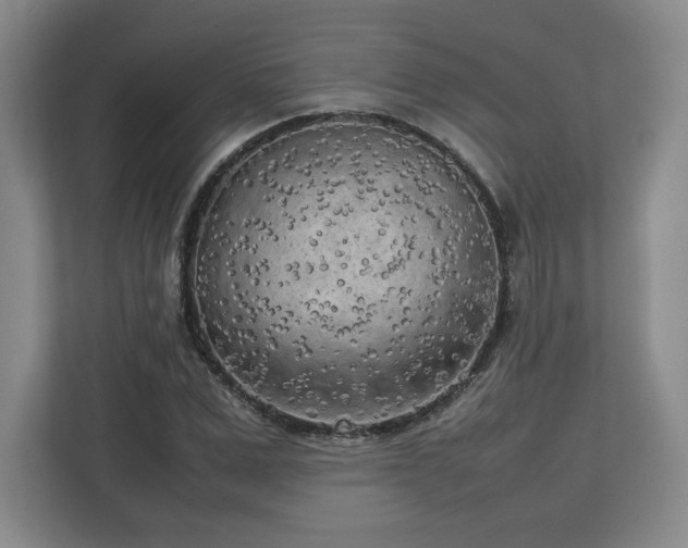 X0000112730975200908271425