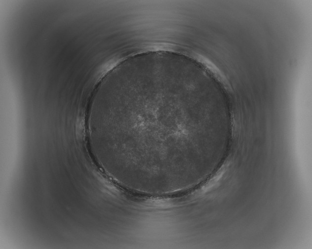 X0000112730977200908271425